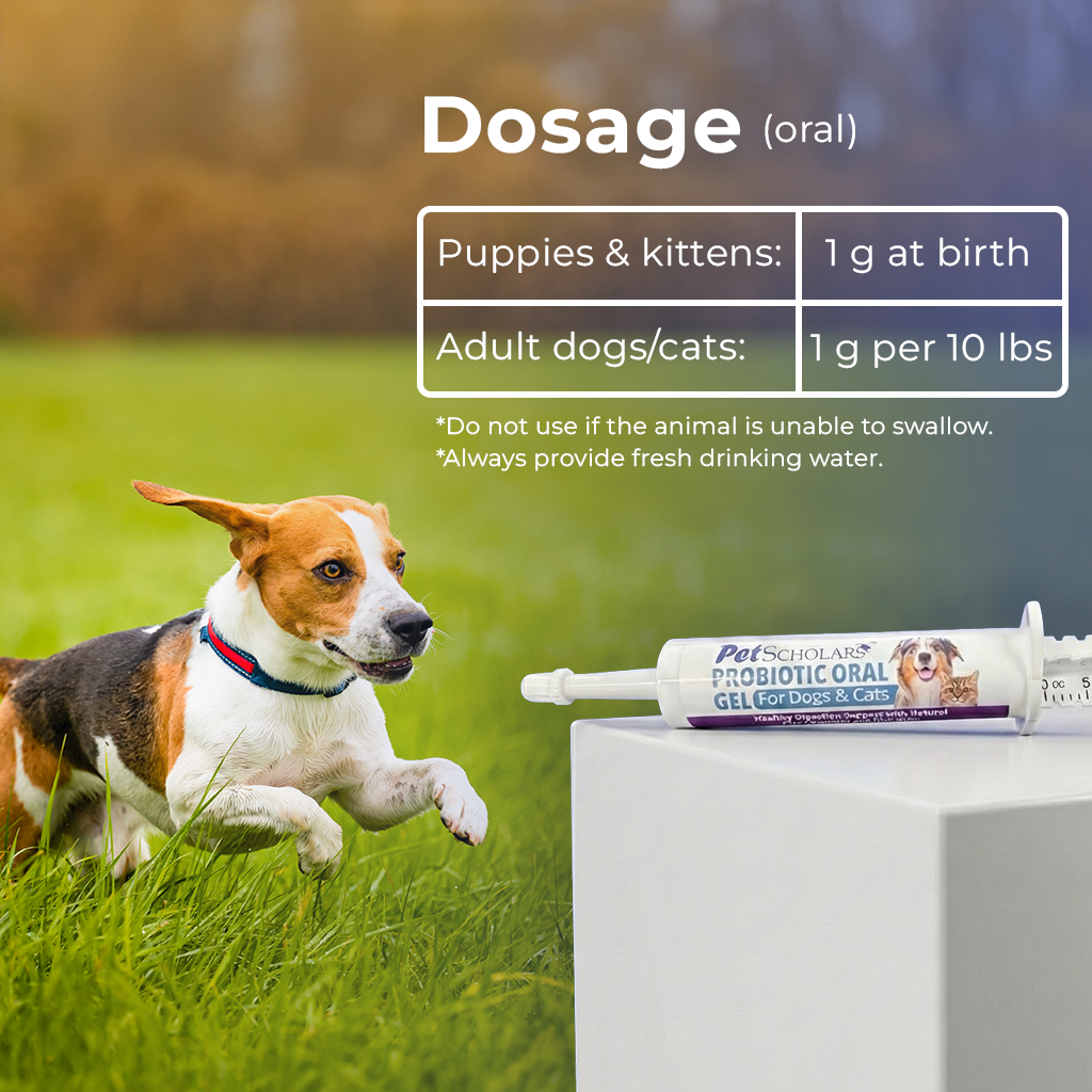 Pet Scholars Probiotic Oral Gel for Dogs & Cats 30 cc - Dog Digestive & Probiotics Supplements 4