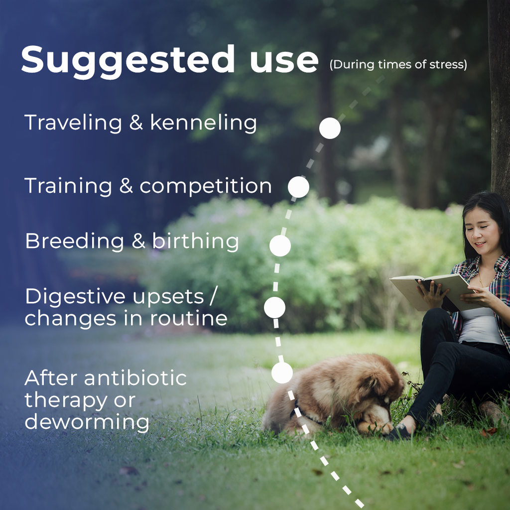 Pet Scholars Probiotic Oral Gel for Dogs & Cats 30 cc - Dog Digestive & Probiotics Supplements 3