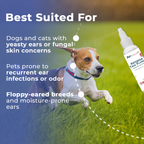 Pet Scholars Ketozole Tris Flush Anti-fungal Cleansing Solution 12 fl oz - All Dog Ear Care 4