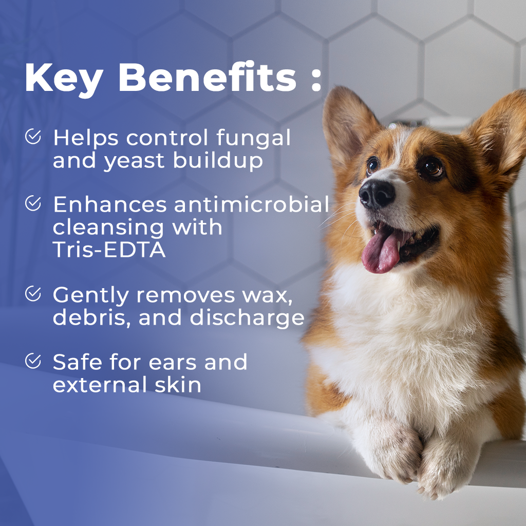 Pet Scholars Ketozole Tris Flush Anti-fungal Cleansing Solution 12 fl oz - All Dog Ear Care 2