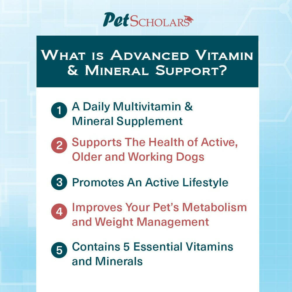 Pet Scholars Advanced Vitamin & Mineral Support - Dog Supplements & Vitamins 6