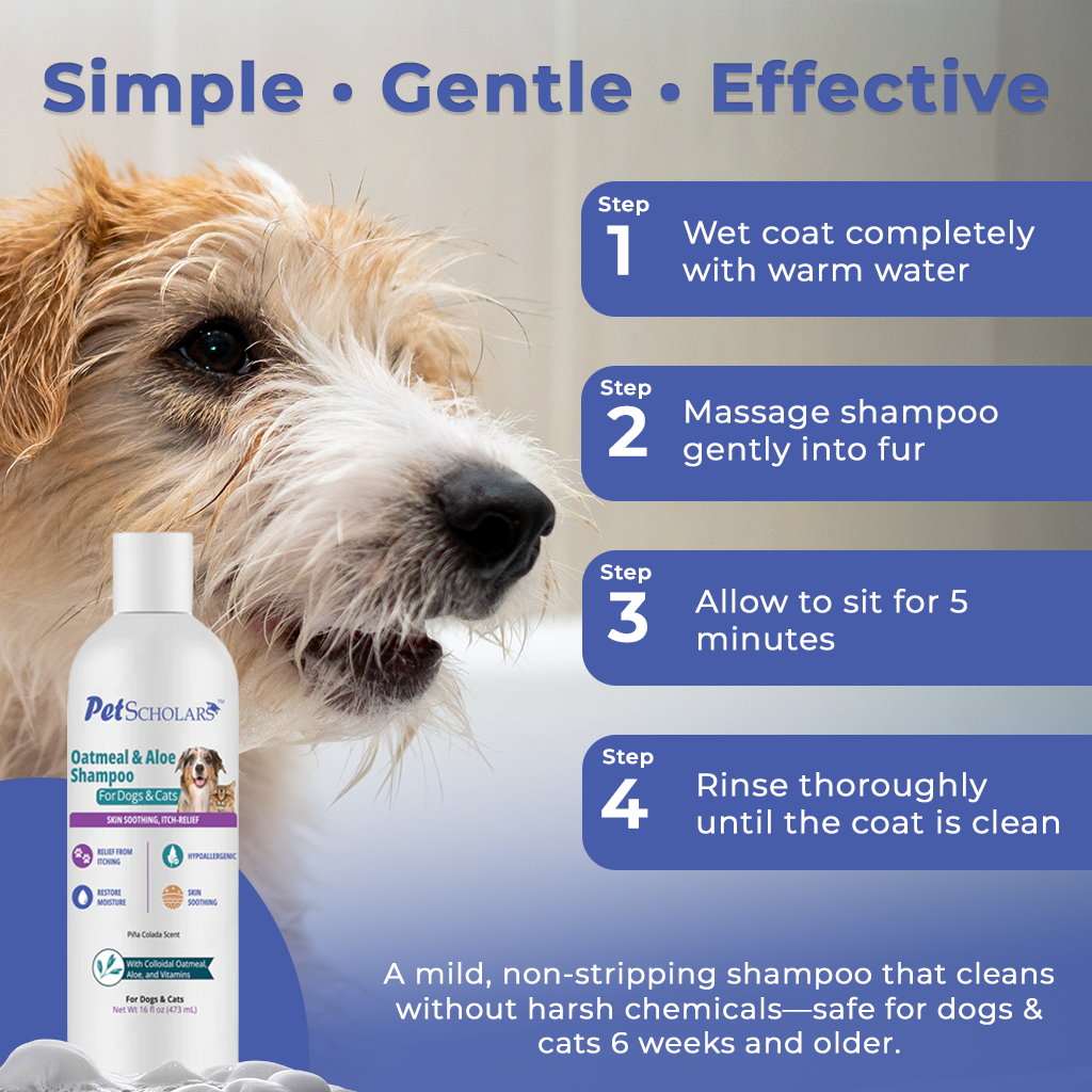 Pet Scholars Oatmeal & Aloe Shampoo Skin Soothing Itch-Relief (16 fl oz) - Pet Shampoo & Conditioner 4