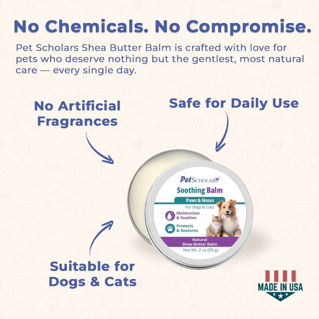 Pet Scholars Soothing Natural Shea Butter Balm for Dogs & Cats - Dog & Cat Grooming 6