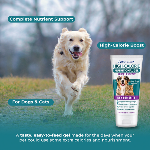 Pet Scholars High-Calorie Nutritional Gel Supplement For Dogs & Cats Type