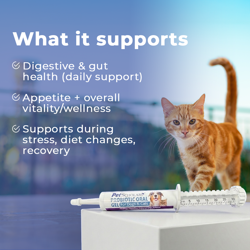 Pet Scholars Probiotic Oral Gel for Dogs & Cats 30 cc - Dog Digestive & Probiotics Supplements 5